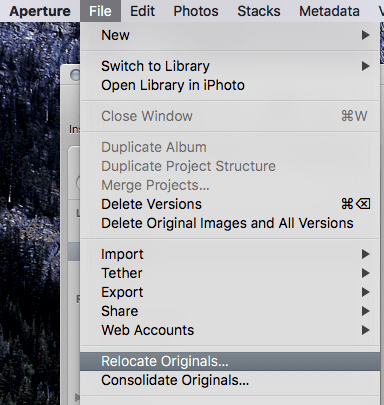 Screen Shot 2016-07-29 at 7.10.34 PM.png