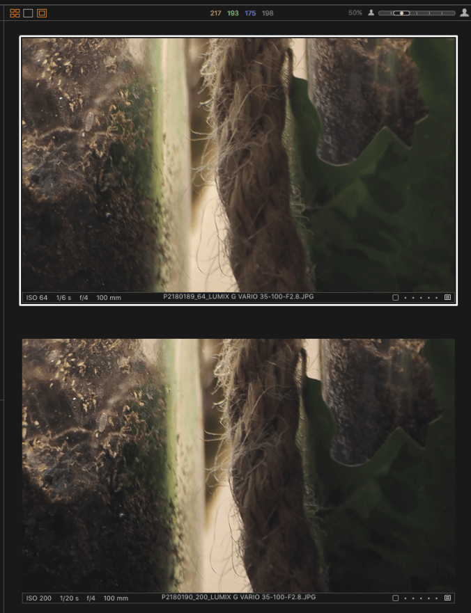 Screen Shot 2017-02-26 at 4.19.19 PM.png