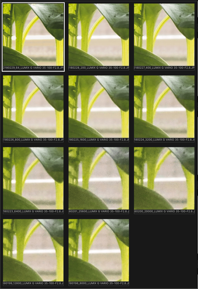 ISO 64 to 25600 Good Light.png