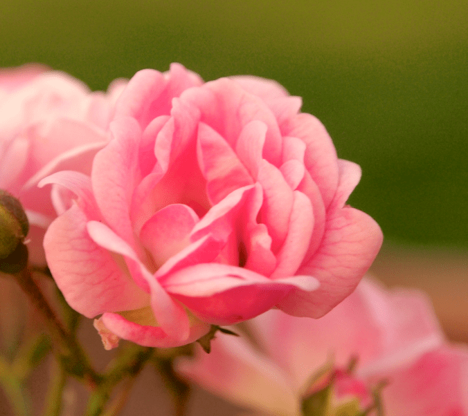 Screen Shot 2017-03-26 at 3.08.22 PM.png